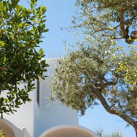 Romano, Bed & Breakfast 3*