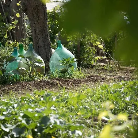 Oda ve Kahvaltı Romano, Anacapri (Isola di Capri)