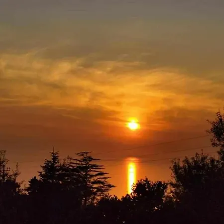 Romano, Bed & Breakfast Anacapri (Isola di Capri)