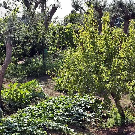 Bed & Breakfast Romano, 3*