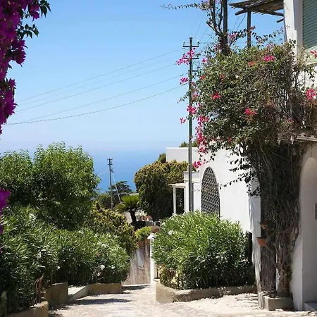 Bed & Breakfast Romano,