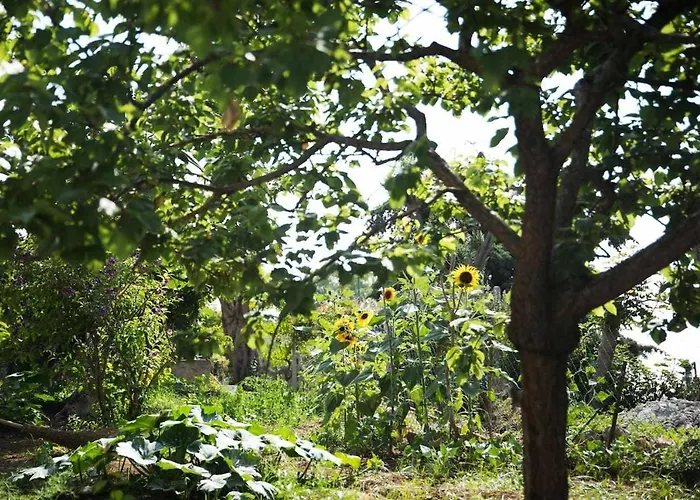 Romano, فندق مبيت وإفطار