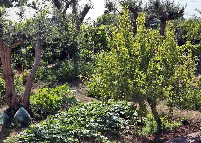 فندق مبيت وإفطار Romano, 4*