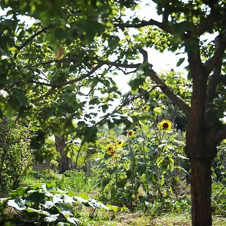 Romano, Oda ve Kahvaltı