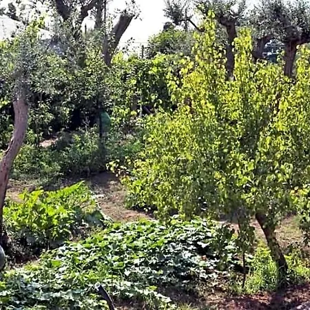 Romano, فندق مبيت وإفطار