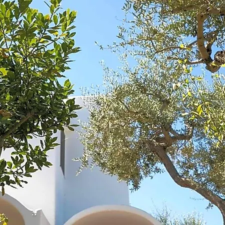 فندق مبيت وإفطار Romano, 4*