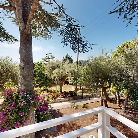 B&B Romano, 아나카프리