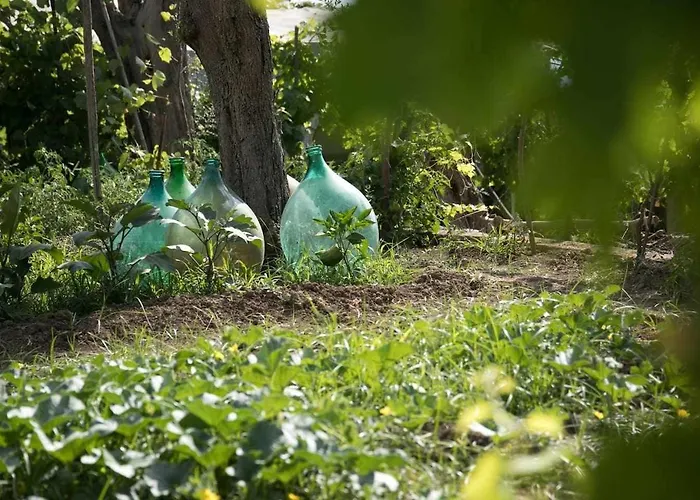 Alojamento de Acomodação e Pequeno-almoço Romano, Anacapri (Isola di Capri)